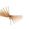 ATELIER LOUPIOTE Applique Albatros