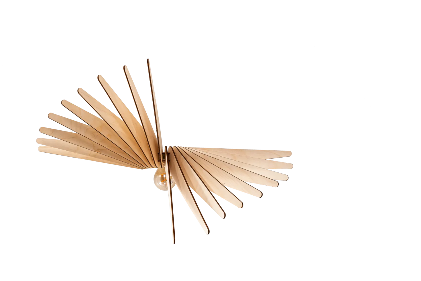 ATELIER LOUPIOTE Applique Albatros
