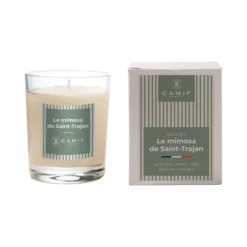 Bougie parfumée Le mimosa de Saint-Trojan