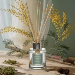 Bouquet Le mimosa de Saint-Trojan