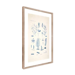 CM CREATION Tableau Planche sea 50 x 70 cm
