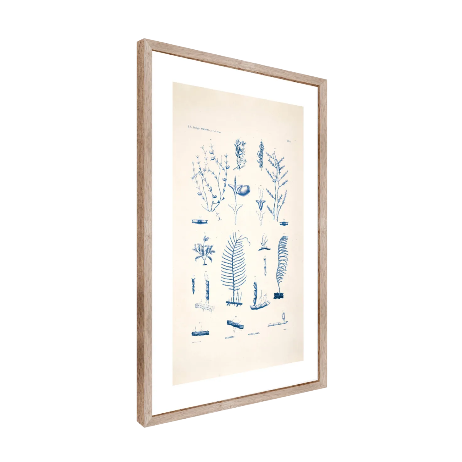 CM CREATION Tableau Planche sea 50 x 70 cm