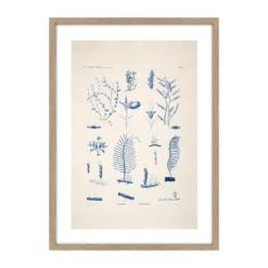 CM CREATION Tableau Planche sea 50 x 70 cm