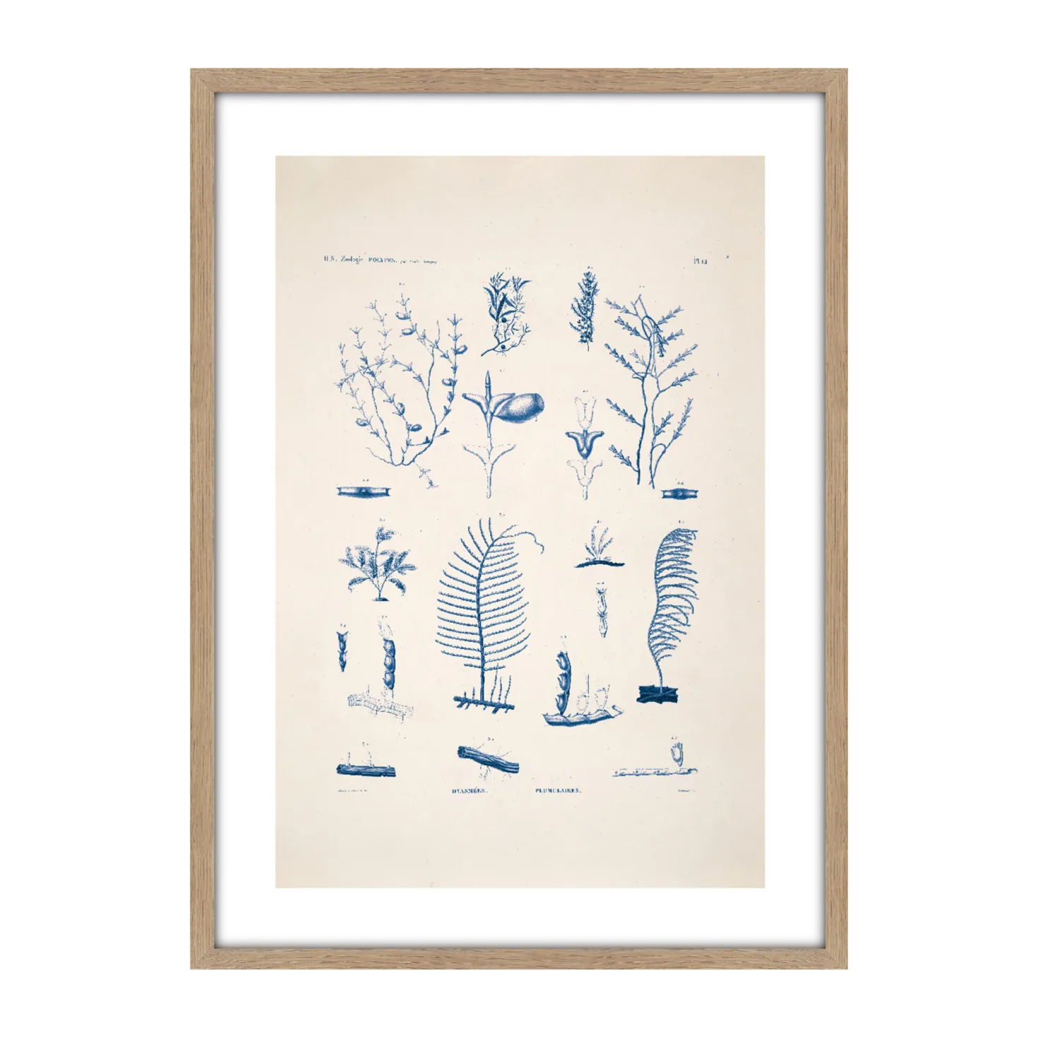 CM CREATION Tableau Planche sea 50 x 70 cm
