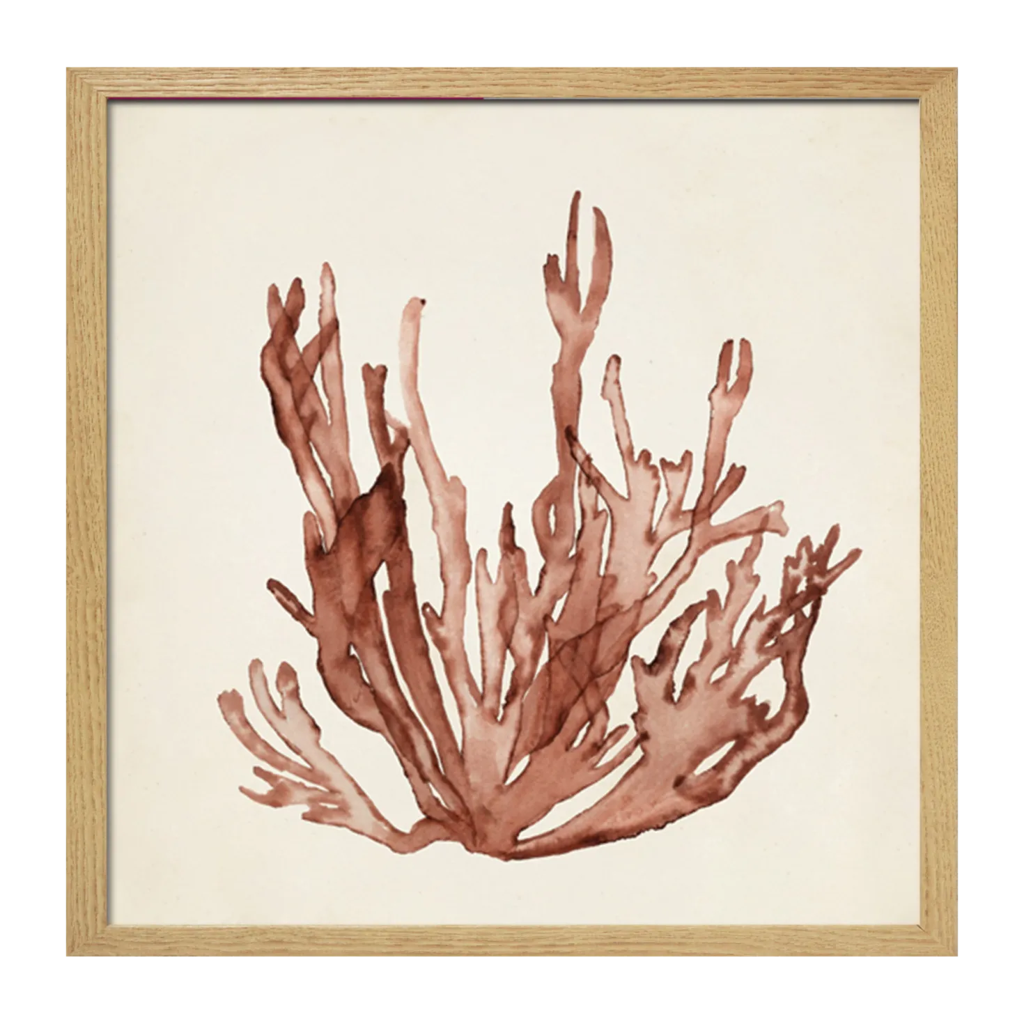 CM CREATION Tableau WAG Under algue B 40 x 40 cm