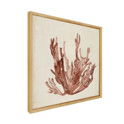 CM CREATION Tableau WAG Under algue B 40 x 40 cm