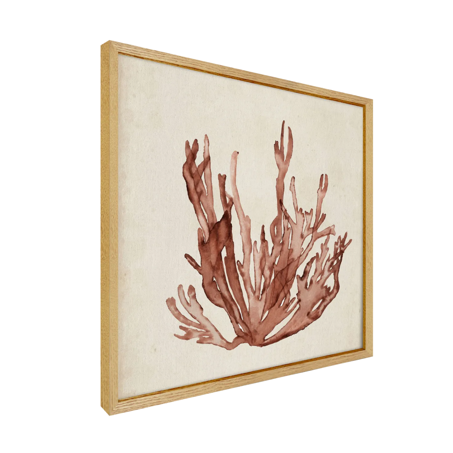 CM CREATION Tableau WAG Under algue B 40 x 40 cm