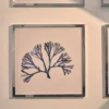 CM CREATION Tableau WAG Under algue E 40 x 40 cm