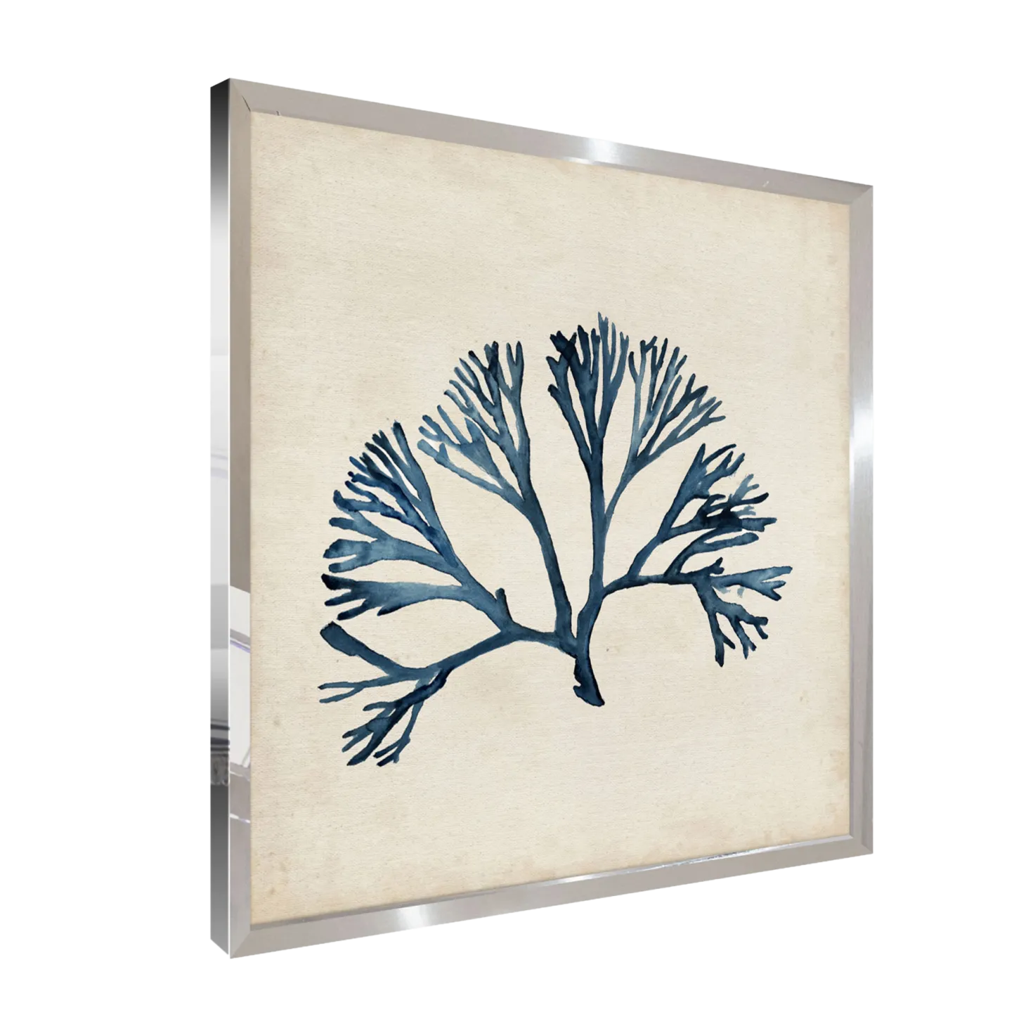 CM CREATION Tableau WAG Under algue E 40 x 40 cm