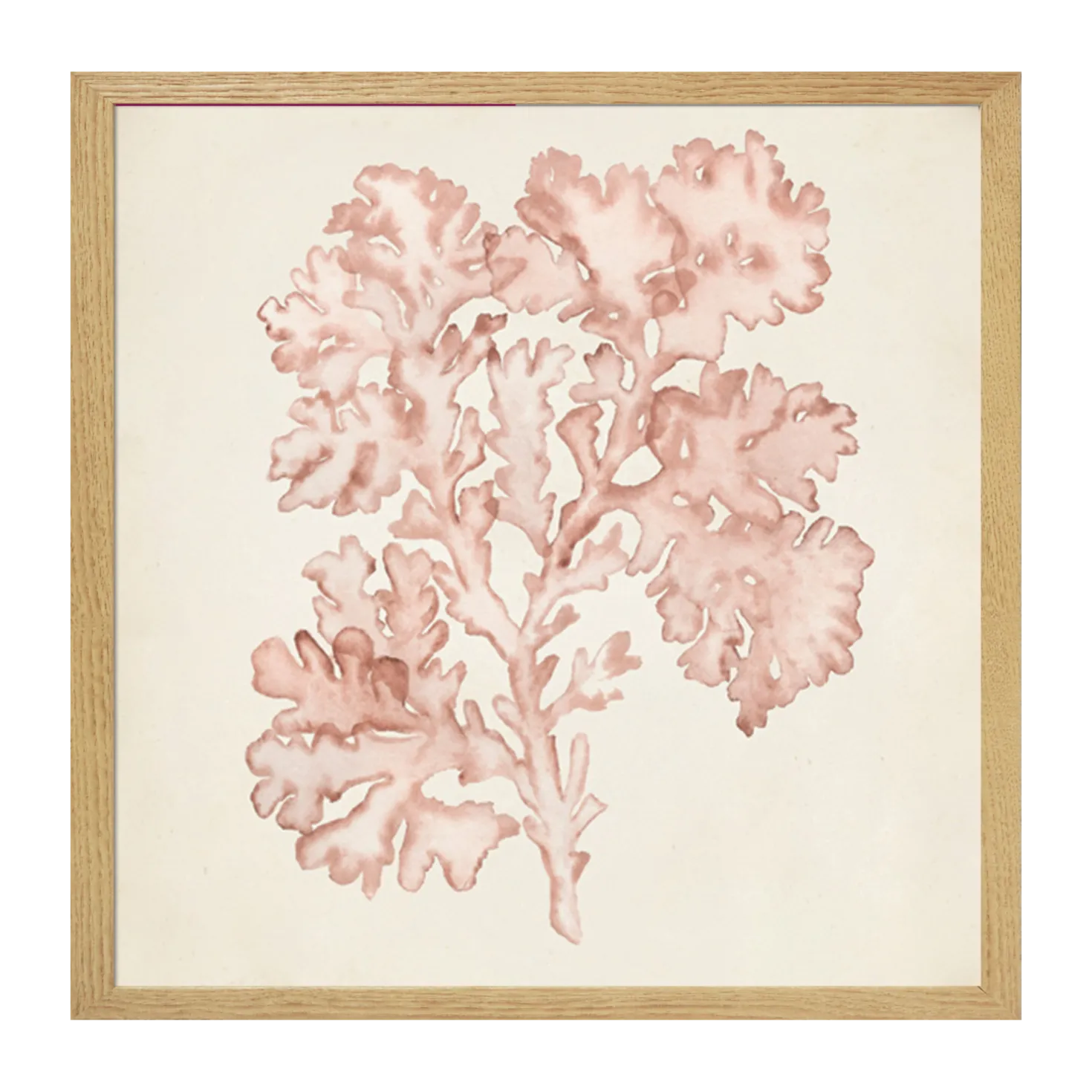 CM CREATION Tableau WAG Under algue D 40 x 40 cm