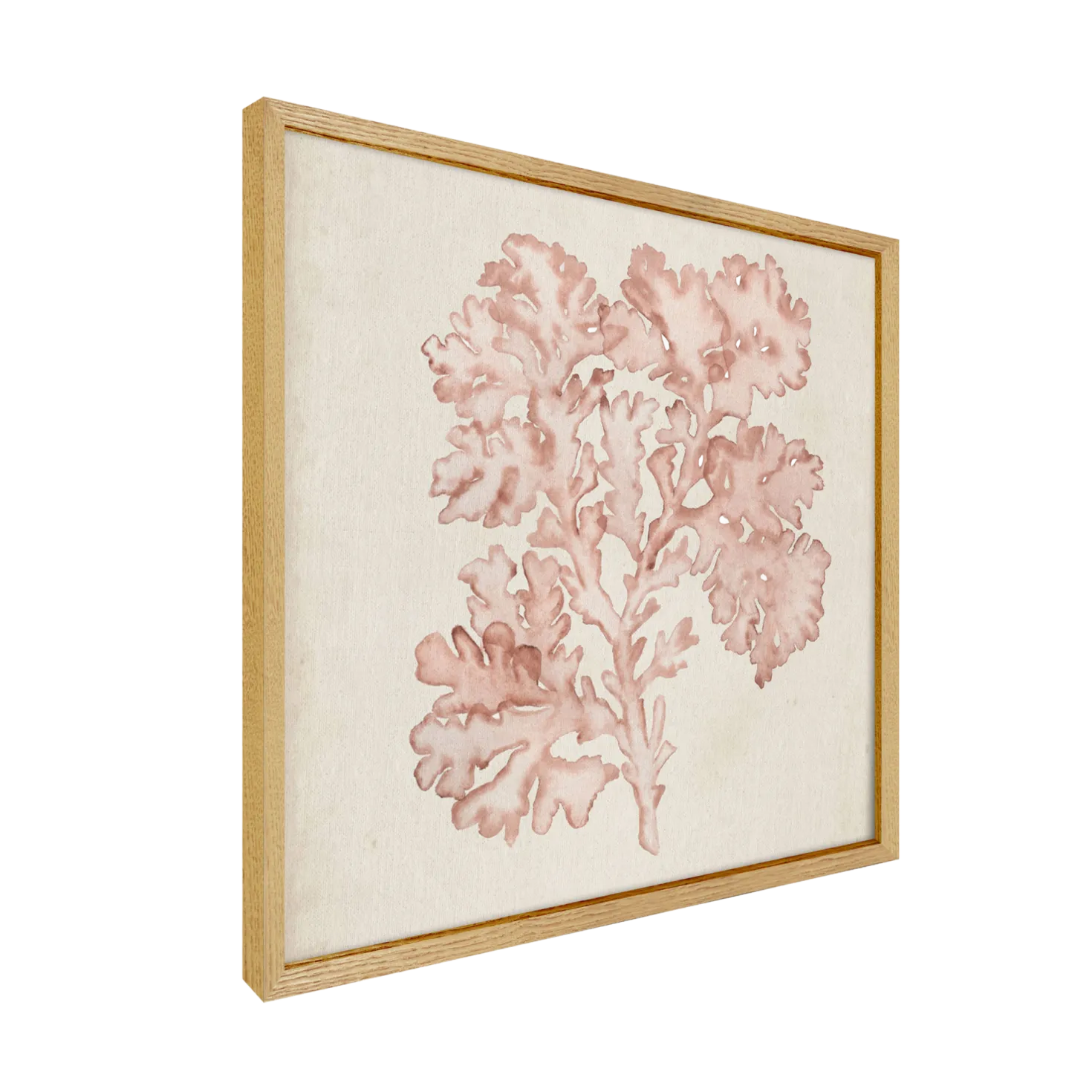 CM CREATION Tableau WAG Under algue D 40 x 40 cm