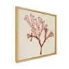 CM CREATION Tableau WAG Under algue C 40 x 40 cm