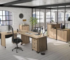 C.PRO PAR CAMIF Bureau complet + caisson Gregory