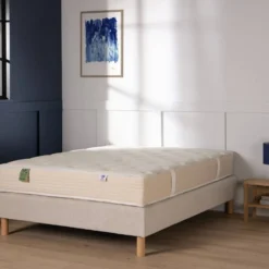 DUNLOPILLO Matelas latex 25 cm Cassandre