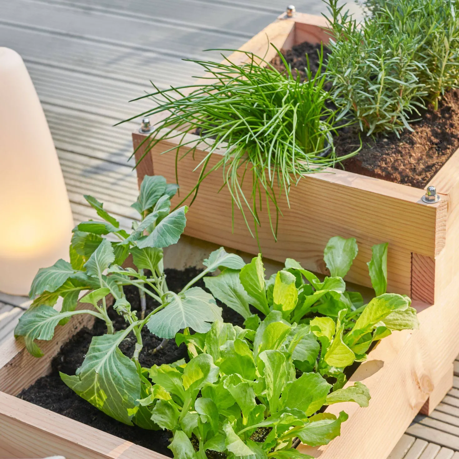 LE CARRE FANTASTIK Carré potager en bois 2 bacs et 2 niveaux 86cm, Twinik