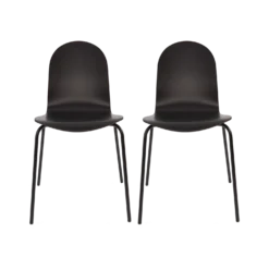 Lot de 2 chaises hêtre teinté Riaz