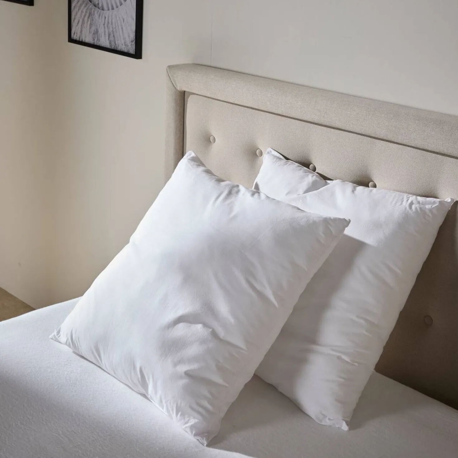 Lot de 2 oreillers coton souples Leny