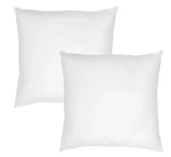 Lot de 2 oreillers Pacôme