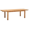 Lot de 2 rallonges Luminescence