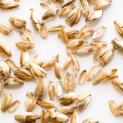 MILLE OREILLERS Oreiller ferme d'épeautre biologique
