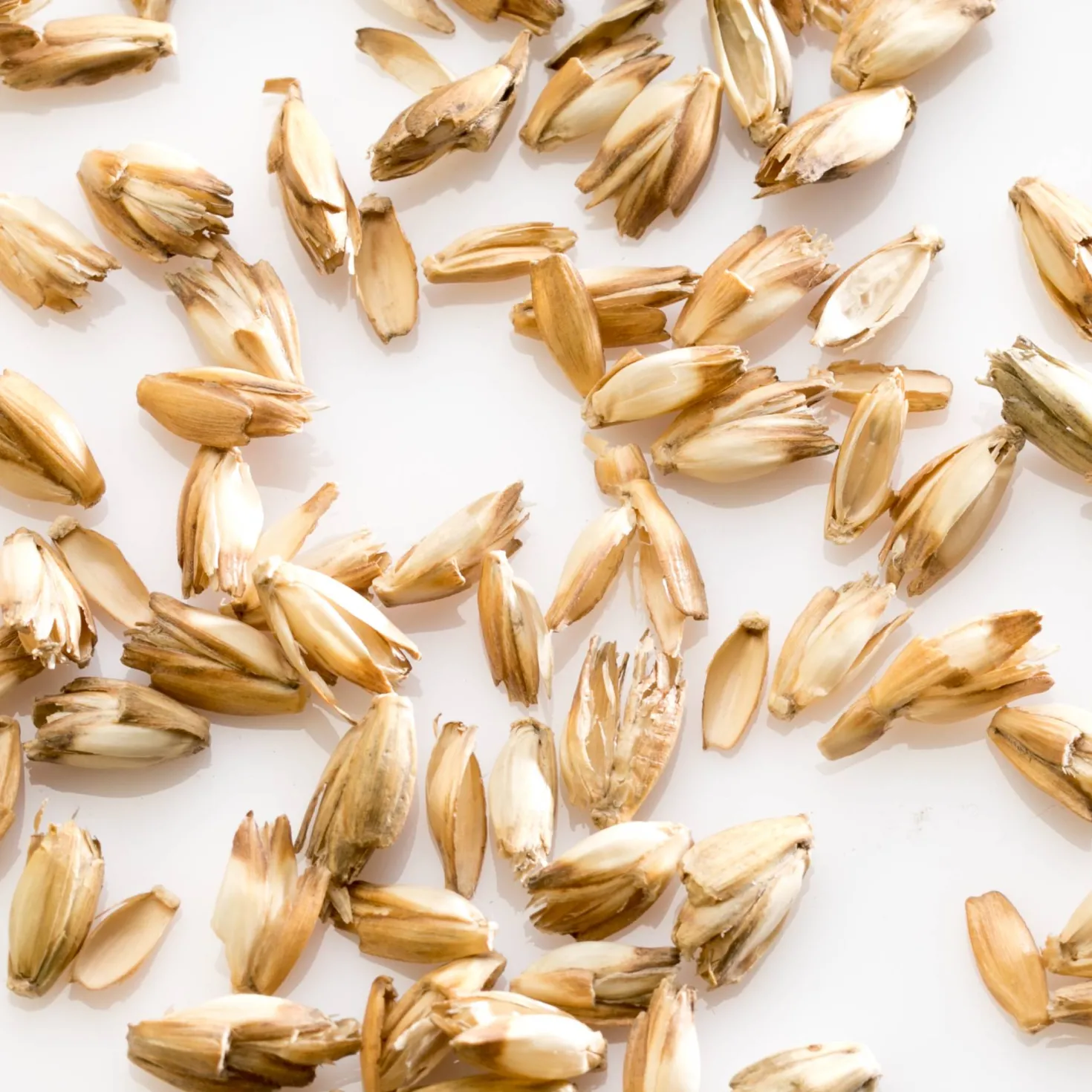 MILLE OREILLERS Oreiller ferme d'épeautre biologique