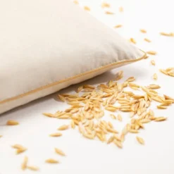 MILLE OREILLERS Oreiller ferme petit épeautre biologique