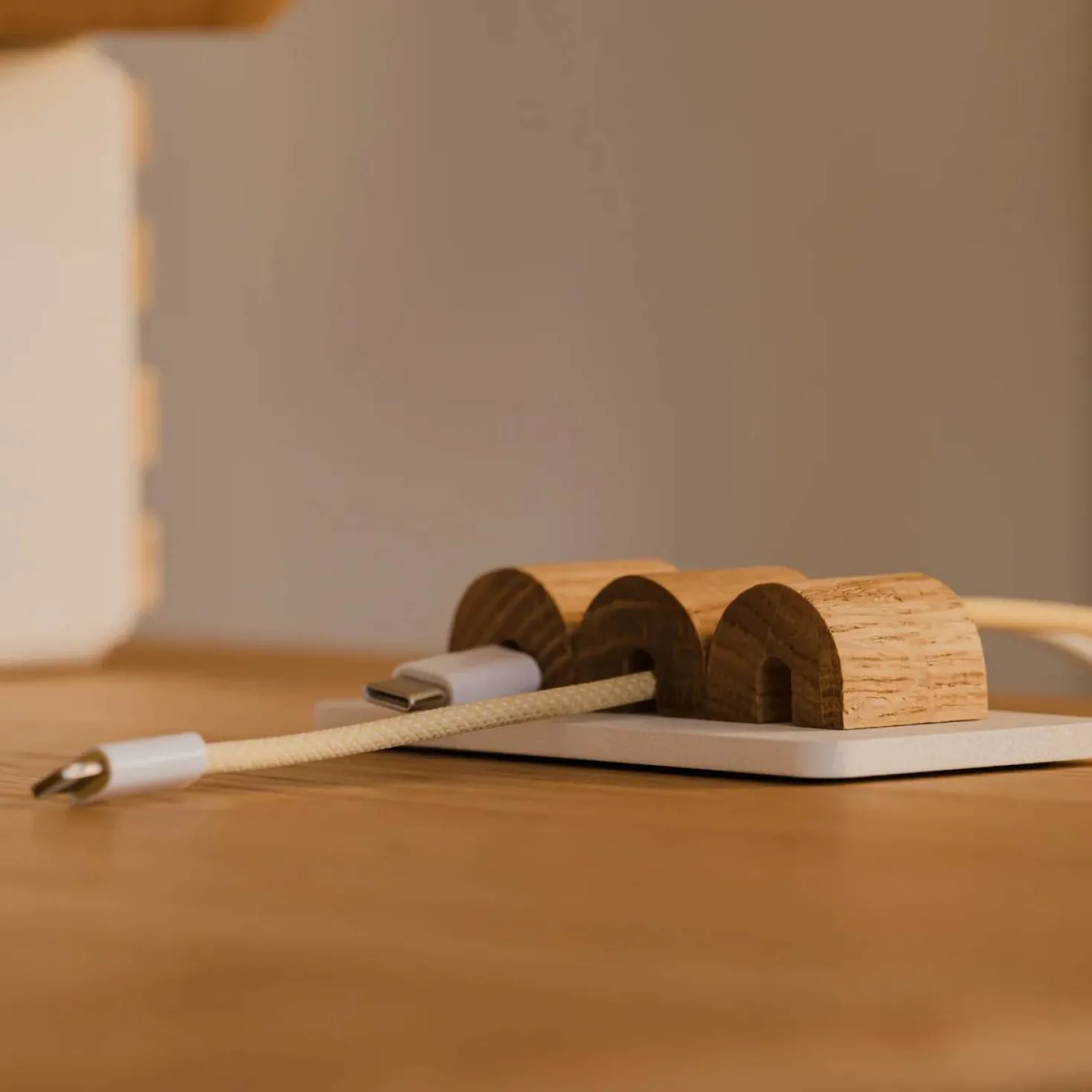 OAKYWOOD Organisateur de câbles magnétique