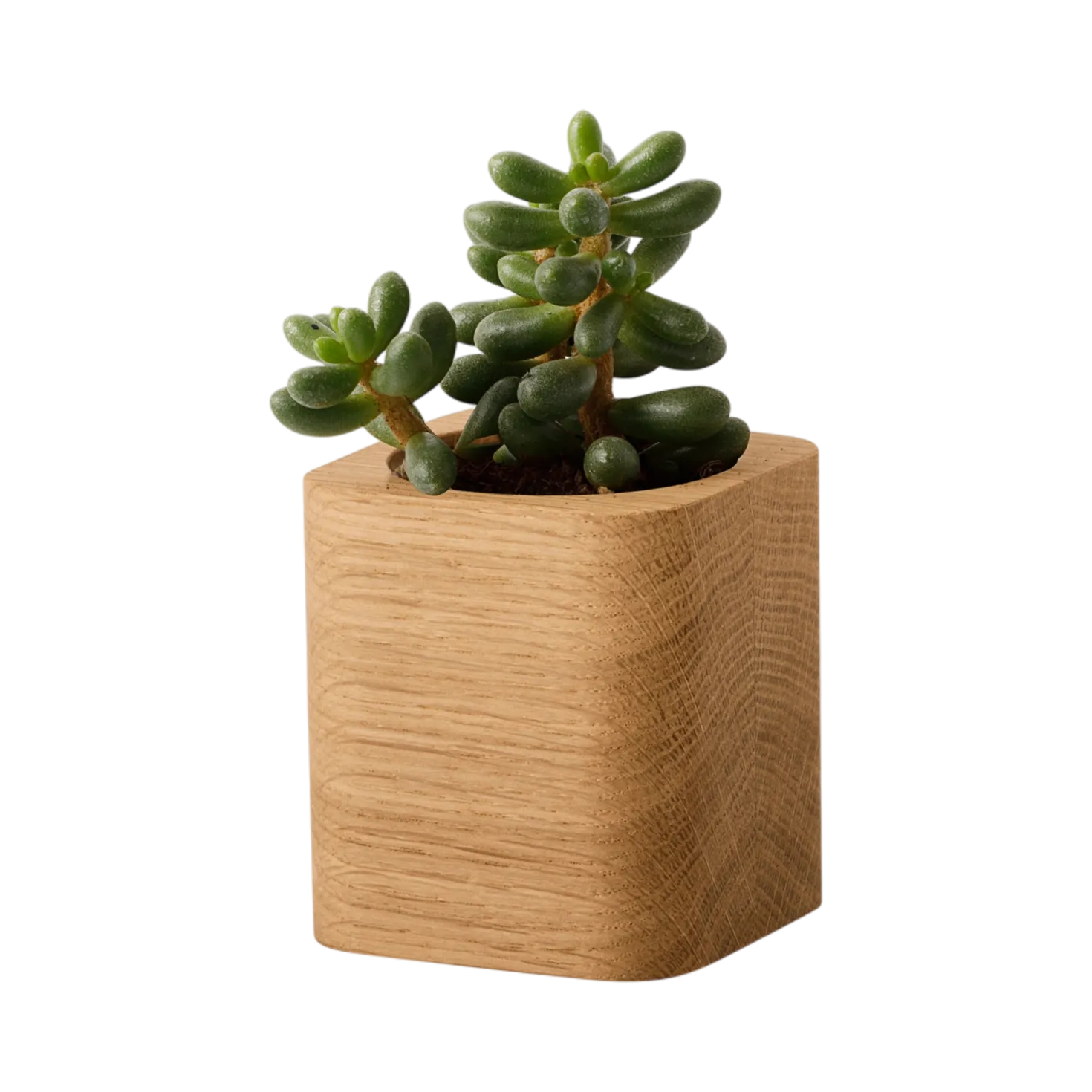 OAKYWOOD Pot à crayons cubique bois massif