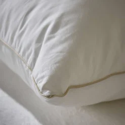 Oreiller coton anti-acariens phytocare Louna