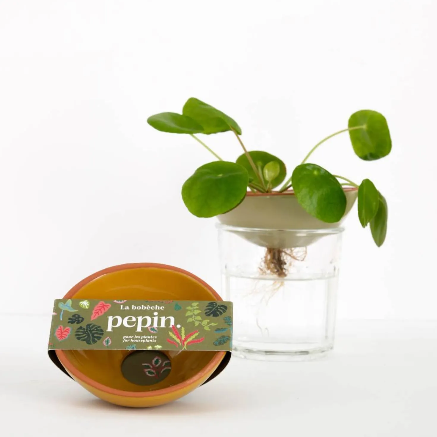 PEPIN Bobèche Plantes - Jaune moutarde