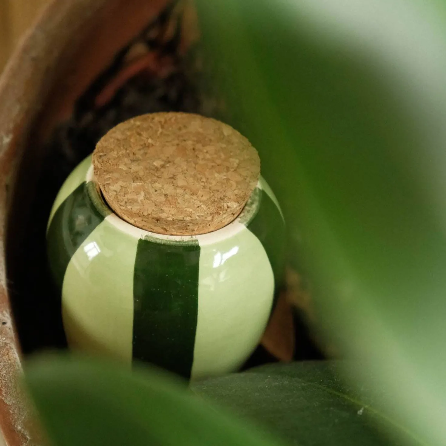 PEPIN Olla - Rayé vert et vert