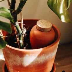 PEPIN Olla - Terracotta
