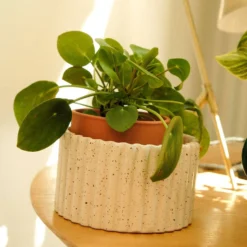 PEPIN Pot autonome Paula - Blanc grainé