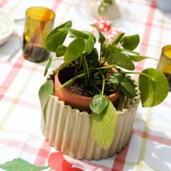 PEPIN Pot autonome Paula - Vert sauge