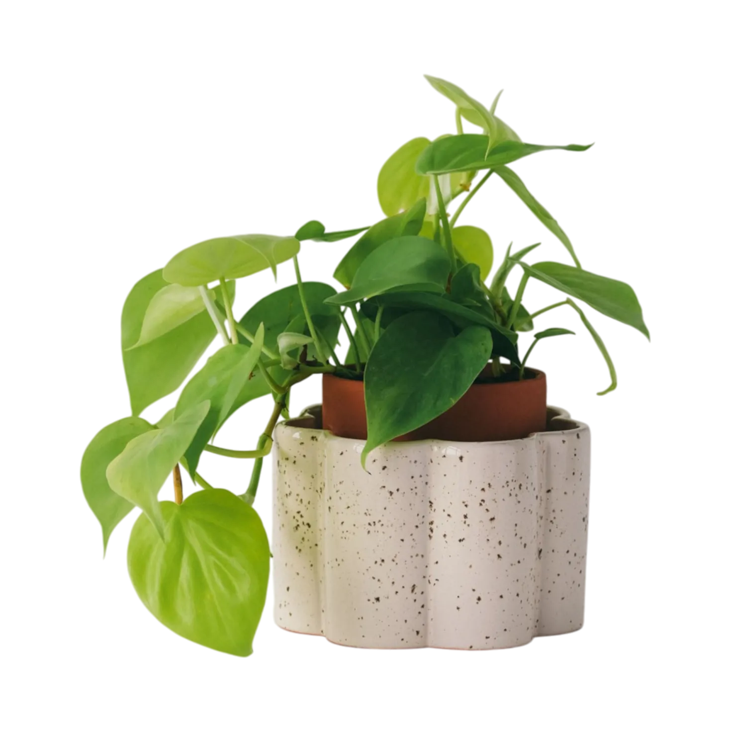 PEPIN Pot autonome Paulita - Blanc grainé