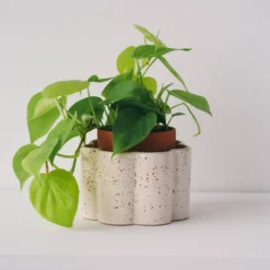 PEPIN Pot autonome Paulita - Blanc grainé