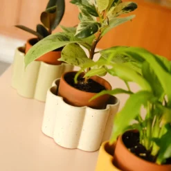PEPIN Pot autonome Paulita - Blanc grainé