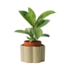 PEPIN Pot autonome Paulita - Vert sauge