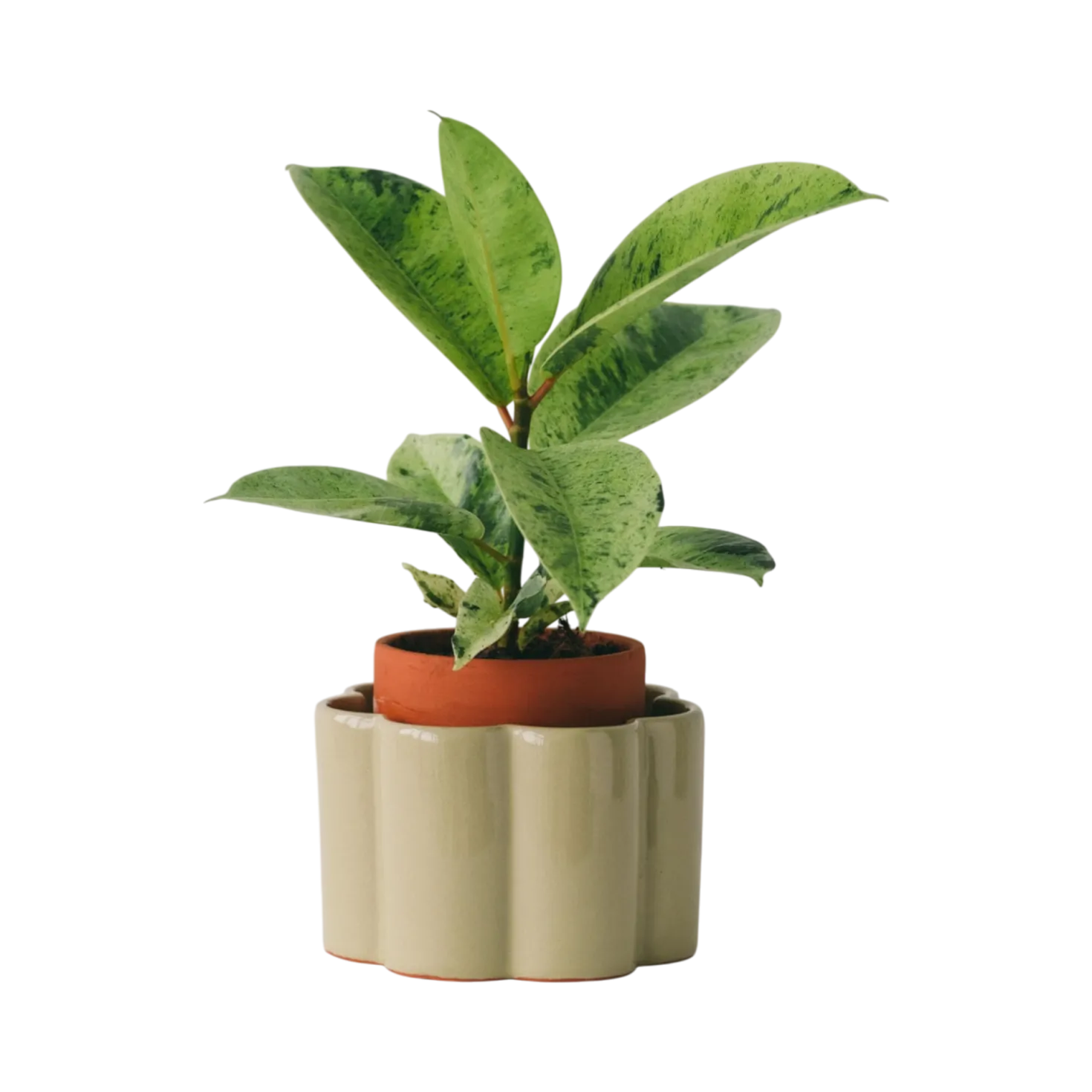 PEPIN Pot autonome Paulita - Vert sauge
