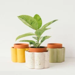 PEPIN Pot autonome Paulita - Vert sauge