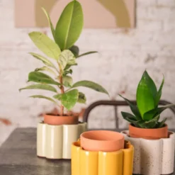 PEPIN Pot autonome Paulita - Vert sauge